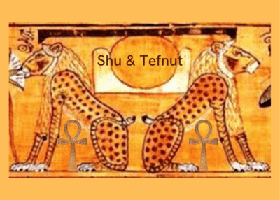 Card Calligraphy Thank You Card 4 1024x731 1